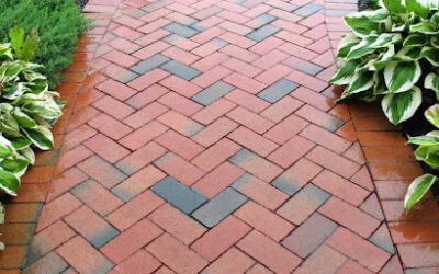Types of Pavers: How to Choose the Right Finish for High-Traffic Areas