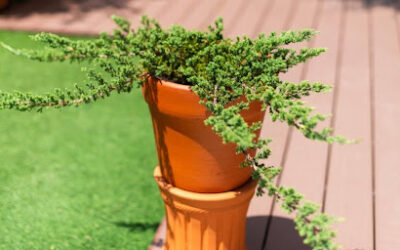 Patio Extension Ideas with Pavers: How to Seamlessly Expand Your Outdoor Living Area