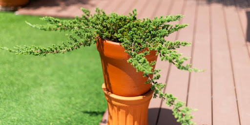 Patio Extension Ideas with Pavers: How to Seamlessly Expand Your Outdoor Living Area