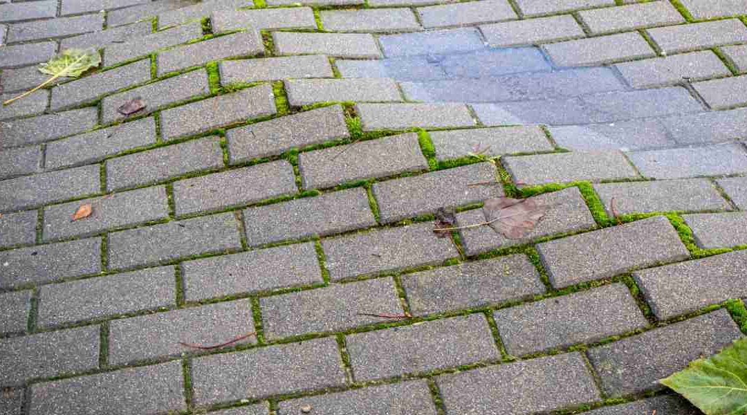How to Fix Uneven Pavers in Florida: Causes and Repair Tips for Treasure Coast Homes