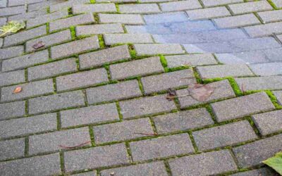 How to Fix Uneven Pavers in Florida: Causes and Repair Tips for Treasure Coast Homes
